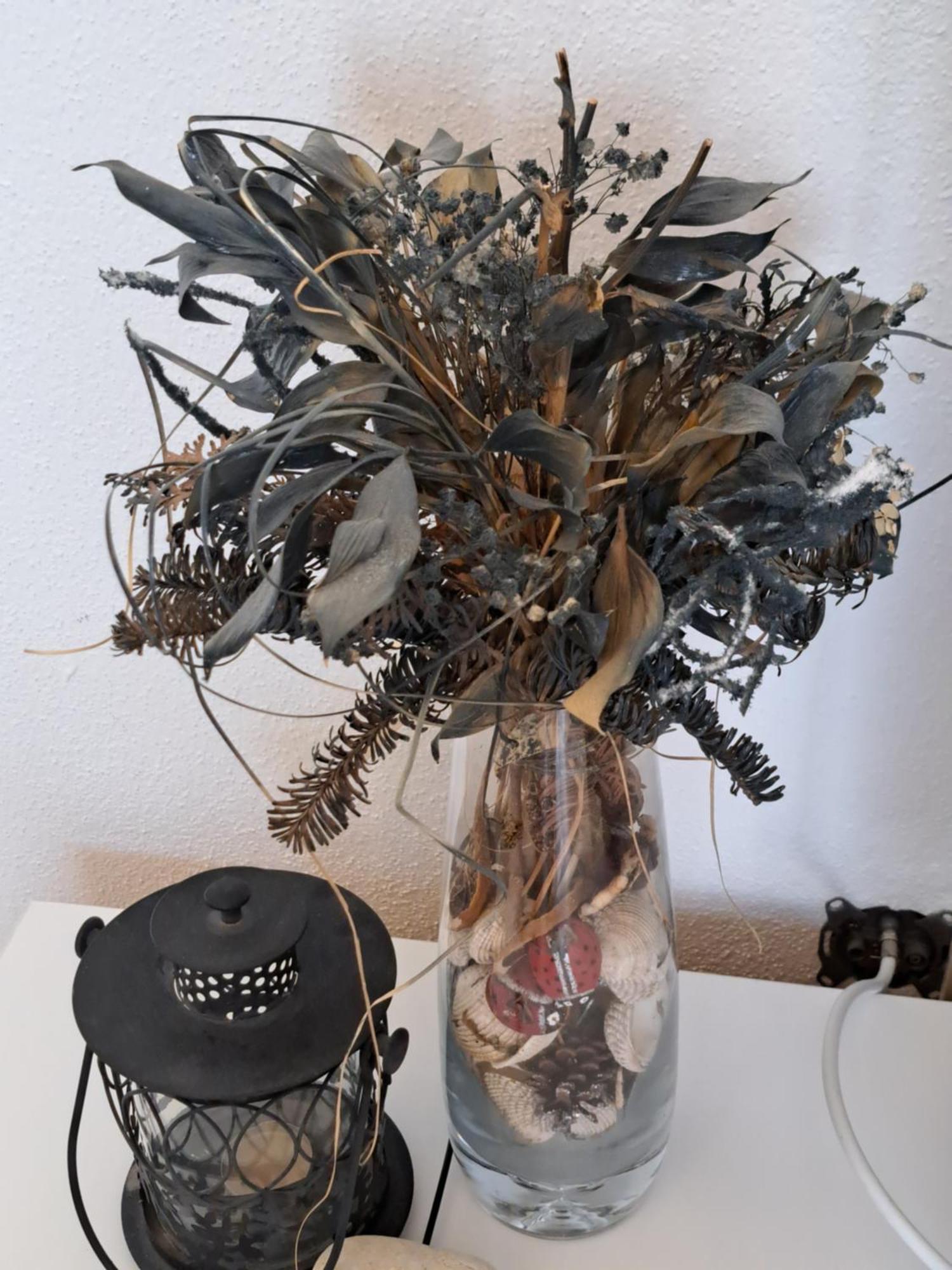 Apartment Oaza Mira Tribalj Zewnętrze zdjęcie